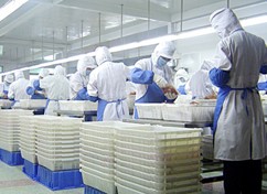 屠宰与熟食加工